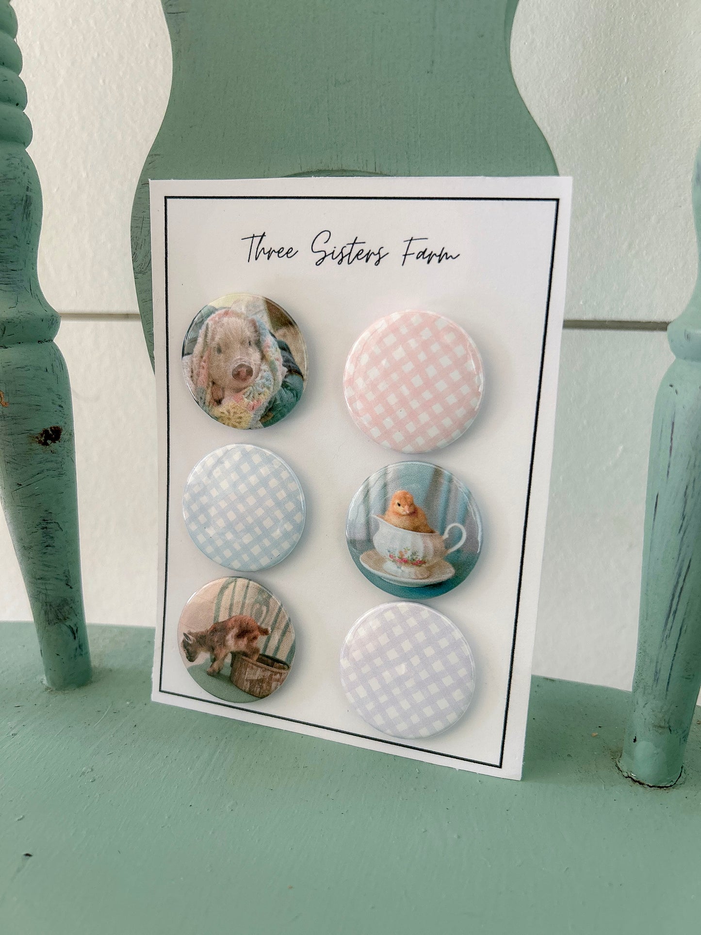 Magnet Set-Animals